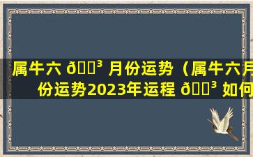 属牛六 🌳 月份运势（属牛六月份运势2023年运程 🐳 如何）